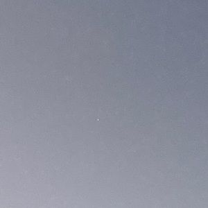 Meet your Posher, Devon